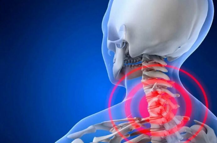 Osteocartilage of the cervical vertebra